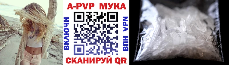 А ПВП СК КРИС  Апатиты 