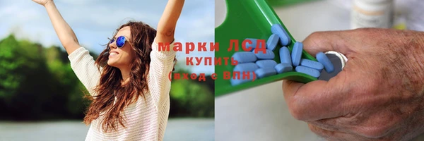 apvp Алексин