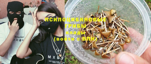 apvp Алексин